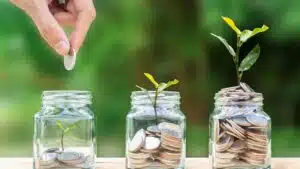 Image of a hand placing coins into a glass jar, with a vibrant plant blossoming from within. The image is meant to symbolize the transformative power of taking account of SAFEs (Simple Agreements for Future Equity) and investing with Juna. The hand represents the investor, the coins represent the investment, and the plant represents the financial growth and prosperity that can be achieved through informed decision-making and strategic planning.
