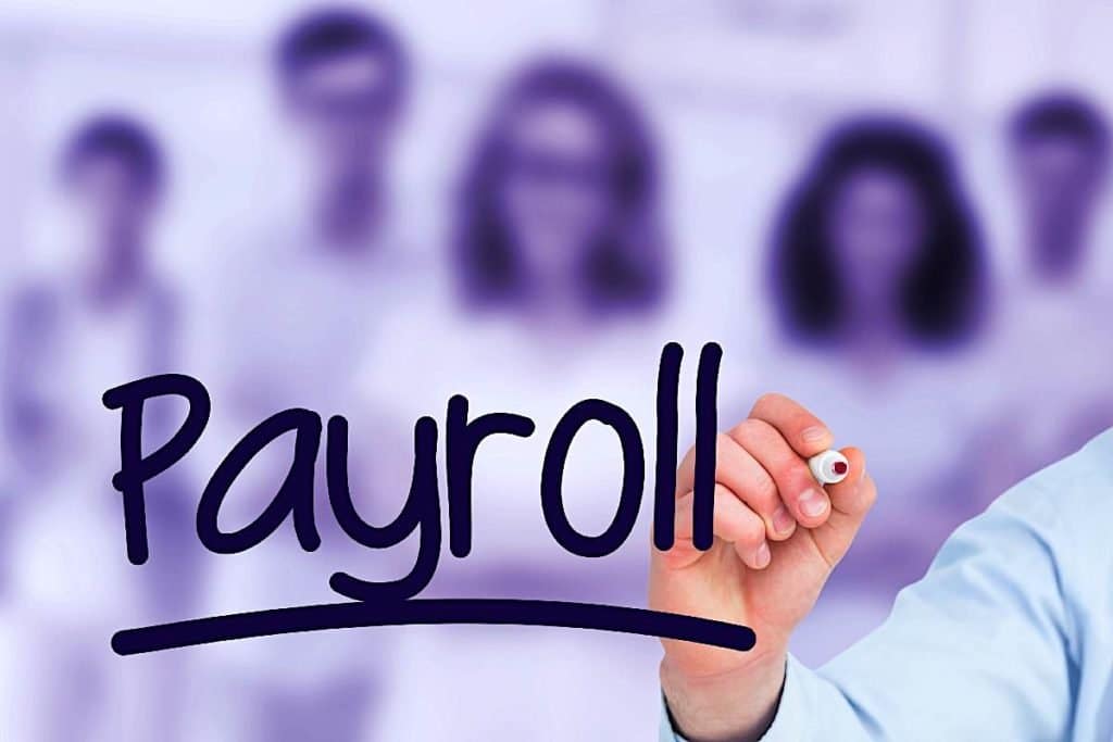Error-free payroll management with Juna: Precision, reliability, and peace of mind.